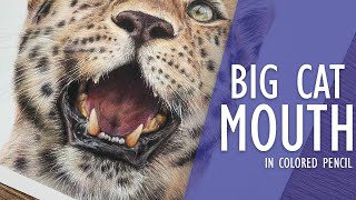 Famous How To Draw a LEOPARD MOUTH in COLORED PENCIL | Drawing Tutorial Net Worth