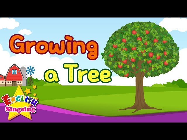 Kids vocabulary - Growing a Tree - Learn English for kids - English educational video class=