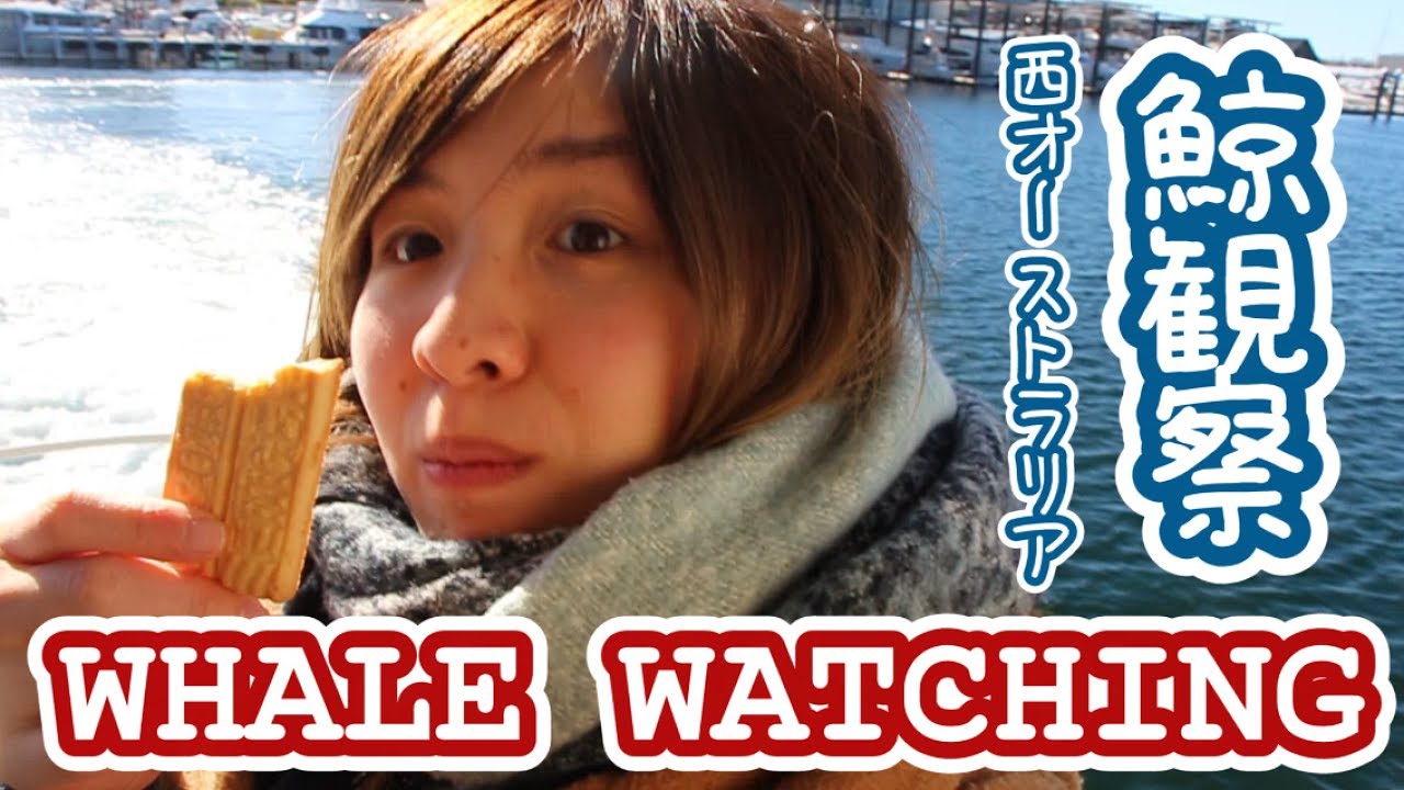 My first time whale watching!! - YouTube