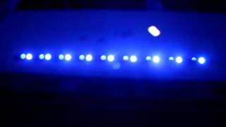 Admiral club - demo blue LED run 2