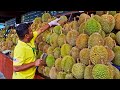 Musang Durian King！Durian cutting skills, Durian Harvesting / 貓山王！榴槤切割技能, 榴槤採收