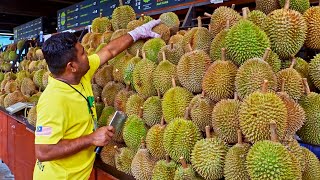 Musang Durian King！Durian cutting skills, Durian Harvesting / 貓山王！榴槤切割技能, 榴槤採收