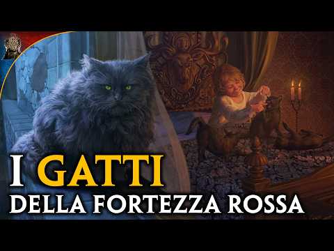 I GATTI della Fortezza Rossa