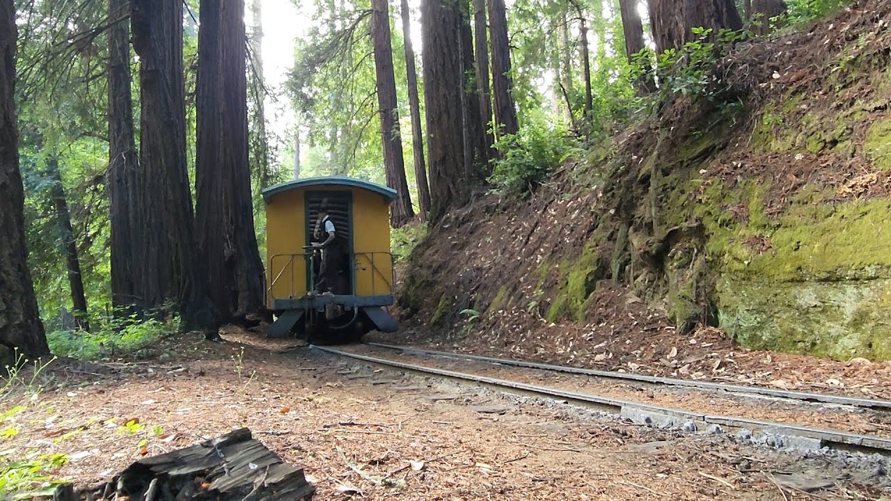 Stubby Train