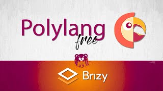 Polylang: the FREE multilingual plugin for Brizy WordPress