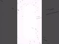 【アニメ】最高の瞬間
