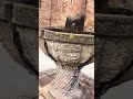 El sonido del agua