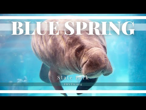 Blue Springs State Park