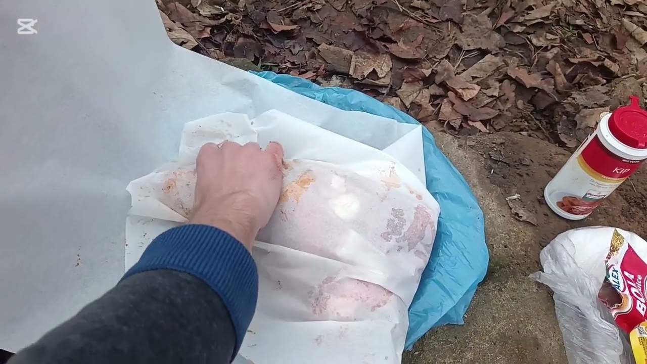 Carne gatita sub piatra in natura 🌳🌳🌲