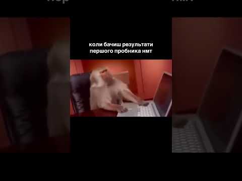 Коли бачиш результати першого пробника НМТ — шортс школи KEVIN