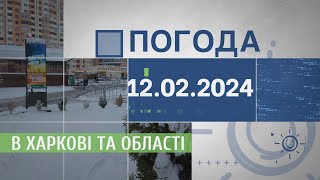 Прогноз погоди в Харкові та Харківській області на 12 лютого