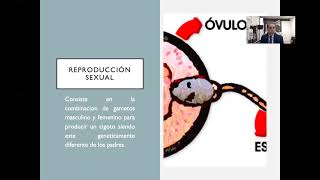 CLASE 2 2021 REPRODUCCI脫N CLASE 2 2021 REPRODUCCI脫N