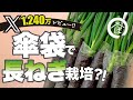 【ネギ栽培の新常識‼︎】傘袋で売り物サイズの長ネギ栽培方法|長ネギの育て方
