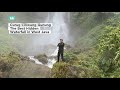 Relaxing Rain Noise + Forest Stream 🌧️ Water Sounds for Sleeping"