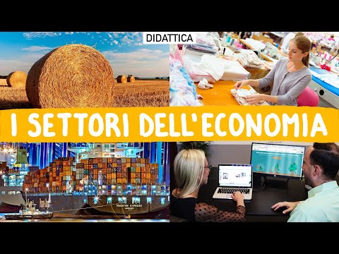 Video: Quali Settori Dell'industria Sono Considerati I Principali Nell'economia Russa