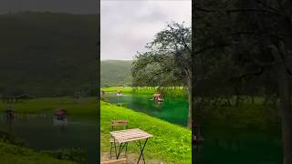 Salalah khareef season | Salalah trending  places #salalah #khareef #oman