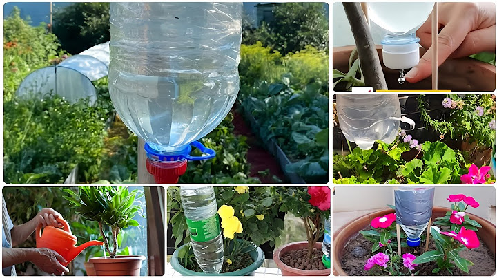 وداعاً لقلق السفر:🚿🌿 ريّ نباتاتك بالتنقيط..مع هذه الحيلة السحرية 🥰