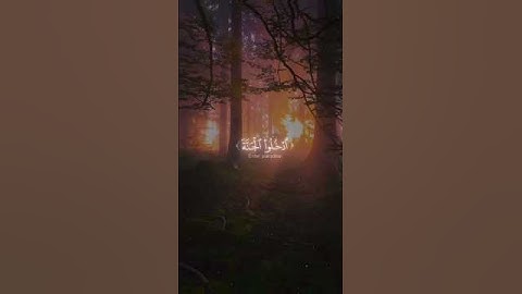 أُدْخُلُوا الْجَنَّه"سورة الزخرف"الشيخ محمد اللحيدان🦋