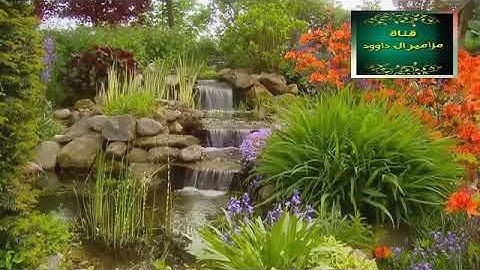 رعد محمد الكردي سورة الانفطار .. تلاوة عجيبة