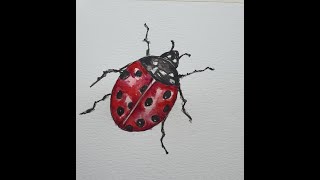 كيف نرسم دعسوقة بالألوان المائية مع ماجدة نصرالدينHow to draw a ladybird-watercolor/Majida Nasreddin