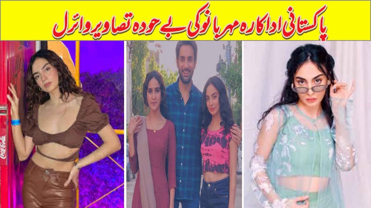 Pakistani Actress Mehar Bano Trolled For Revealing Dress 
