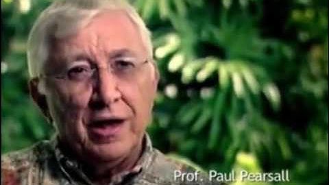 2nd Brain Found in the Heart - Trust your Gut Feelings