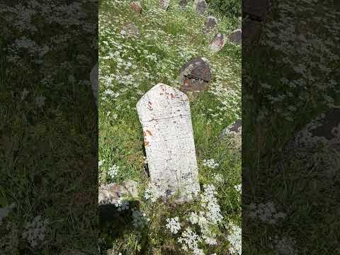 Tarihî Aile Mezarlığı - 4