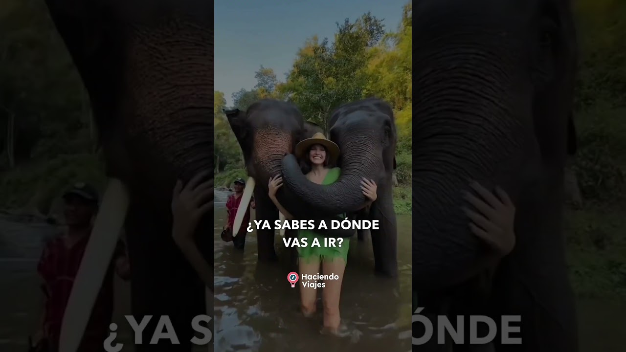 🌐✨ Lo que pasa en Cyber… ¡queda en tu carrito!