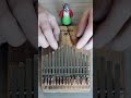 Kalimba