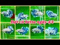 ĐỢT CÁ NGÀY 04/04/2023, Marble Dot ĐẸP GIÁ RẺI || HẬU BETTA AG
