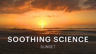 Soothing Science: The Light You See at Sunset by NOVA PBS Official 23,863 views 1 year ago 8 minutes, 2 seconds