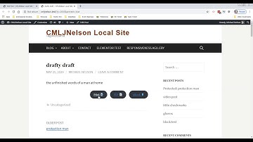 How to Print a Draft in WordPress using Print My Blog Pro