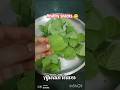 Ajwain leaves ki pakodi | अजवाइन के पत्तों की पकौड़ी || Healthy# evening# snacks# recipe....