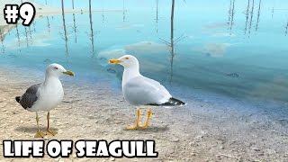 Ultimate Bird Simulator - Life of seagull - Android/iOS - Gameplay Part 9 screenshot 4