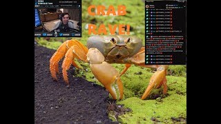 Shroud and chat CRAB RAVE! Funny reaction