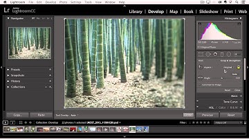 Lightroom CC - Adding Vignette and Grain Effects | Adobe Lightroom