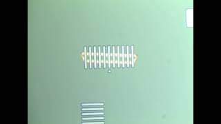 video4
