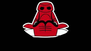 Chicago Bulls Logo SECRET