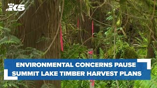 Summit Lake timber harvest plans on pause over environmental concerns