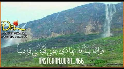 الشيخ عبدالله الموسى من سورة البقرة حالات واتس اب