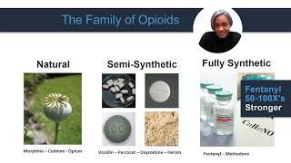 2024 Narcan Education and Training Short Video Presentation
