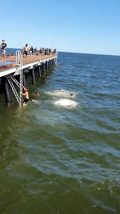 Jumping off the pier...#asmr #viral #shortvideo #jump #pier