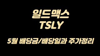 미국월배당ETF 일드맥스 TSLY 5월 배당금 지급 주가/배당일 정리