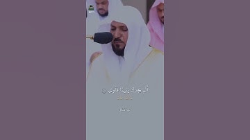 ما ودعك ربك وما قلى🥺🤍سورة الضحى بصوت القارئ ماهر المعيقلي #ماهر_المعيقلي #ماهر_المعيقلي #قرآن #قران