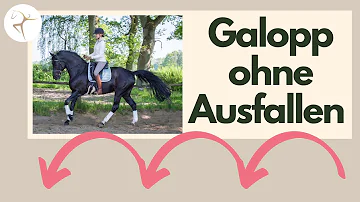 Wie halte ich mein Pferd im Galopp?