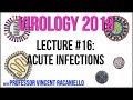 Virology Lectures 2019 #16: Acute Infections