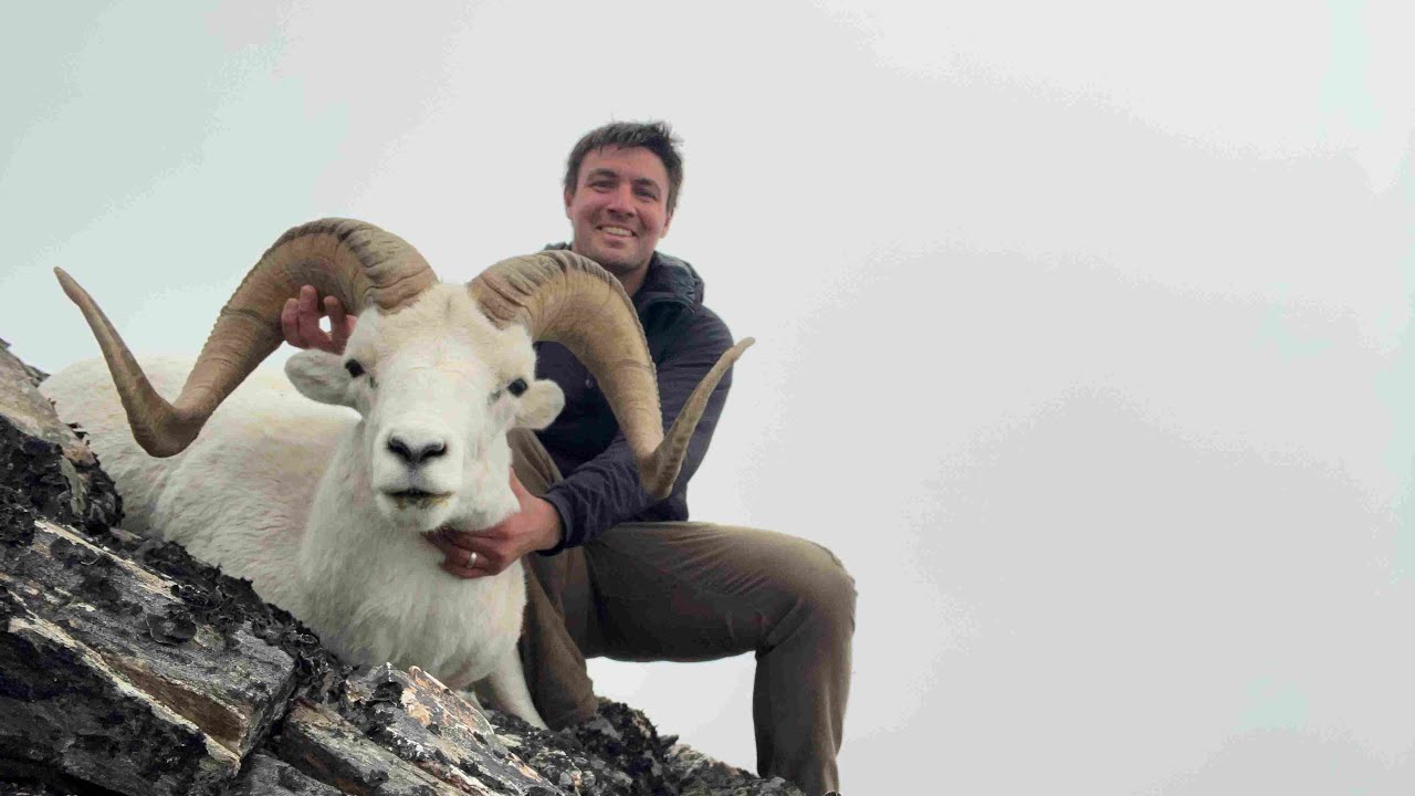 Die Hards - 2023 Alaskan Dall Sheep Hunt 4K