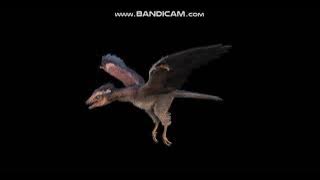 Archaeopteryx Sounds