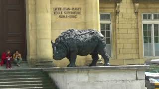 Neuchâtel: des animaux en ville