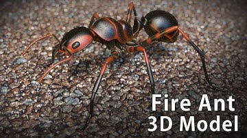 Fire Ant [3D MODEL]